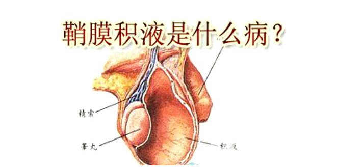 微信图片_20210929164233