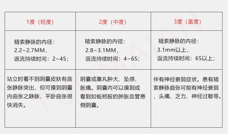 精索曲张轻重表格