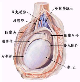 微信图片_20210810183037